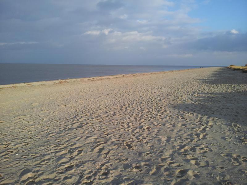 Ferienwohnung Voelker, Wenige Schritte Zum Meer, Wlan, 3 Sz, Kinder Geeignet, Sackgasse, Horumersiel - Nordsee, Erdgeschoss Шиллиг Экстерьер фото